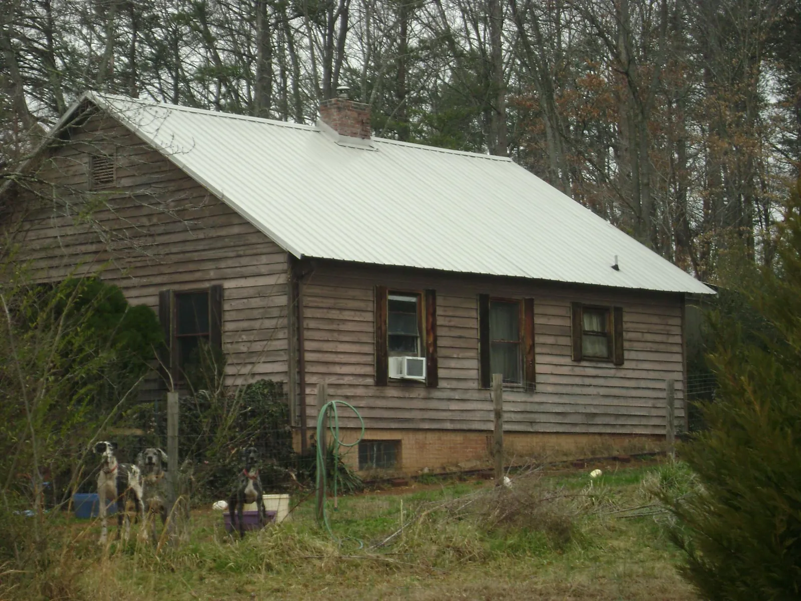 White metal roof on an old wood sided farmhouse, from a Asphalt Shingle Roof Repair job in Burns